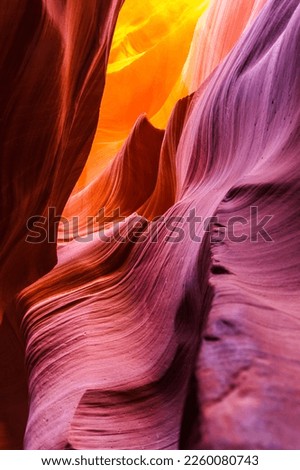 Lower Antelope Canyon's Wave-curved rock maze with changing light and shadow.