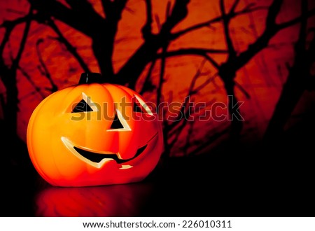 Halloween night background with scary dark forest and pumpkin, halloween party concept