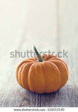 Single orange pumpkin on a rustic wooden background with hazy vintage editing