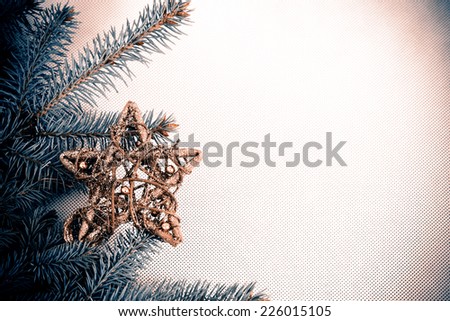 Christmas deocarion - branch with star