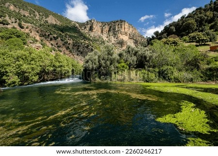 Sources of Oum Rabia, Zaouia de Ifrane, Middle Atlas,, Morocco, Africa Royalty-Free Stock Photo #2260246217