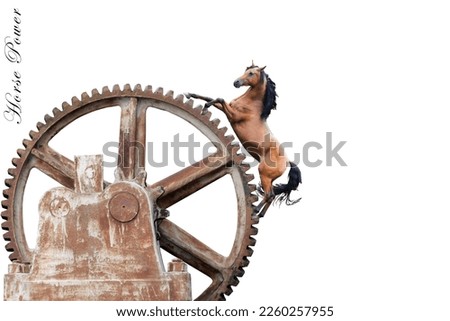A horse drive the gear meaning a horse power on white backgrounds.