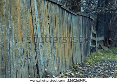 Close up rickety lichen wooden fence with autumn foliage on ground concept photo. Front view photography with blurred background. High quality picture for wallpaper, travel blog, magazine, article