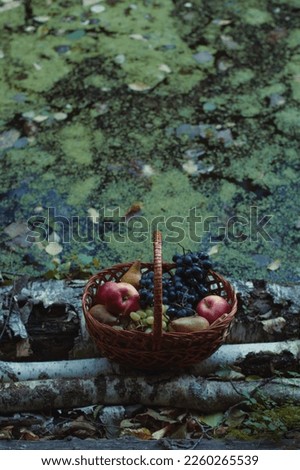 Close up fruit basket in front of algae-affected water concept photo. Picnic spot. Top view photography with blurred background. High quality picture for wallpaper, travel blog, magazine, article