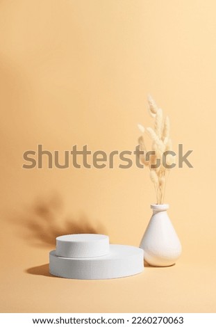 Scene with podium for product presentation. Round figures and dry plant on pale orange background