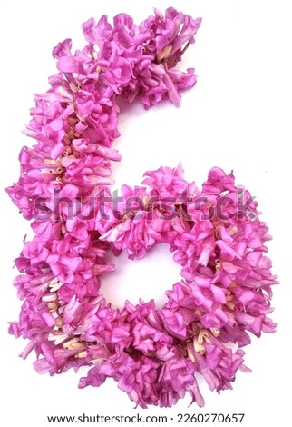 six number shape organic pink flowers isolated on white background.