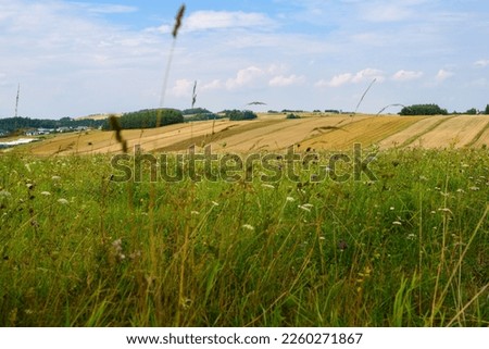 sunny day in the countryside among mowed farmland. Summer in the countryside. Rural fields on a sunny day. Royalty-Free Stock Photo #2260271867