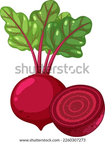 Isolated vegetable beetroot cartoon  illustration Royalty-Free Stock Photo #2260307273