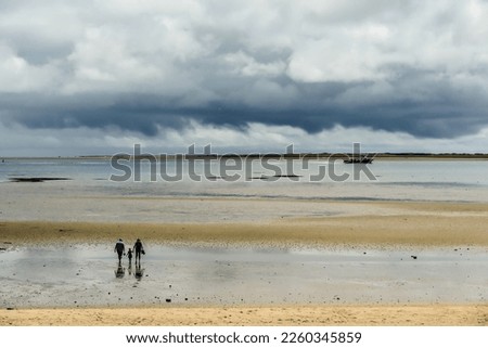 surfers on beach, beautiful photo digital picture
