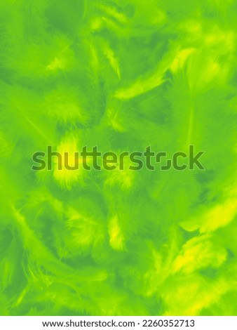 Beautiful abstract green feathers on white background, blue feather texture on yellow pattern, green background, yellow feather wallpaper, love theme, valentines day, green gradient texture