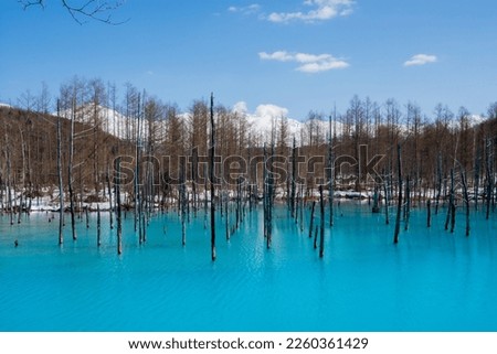 Spring blue pond with snow

