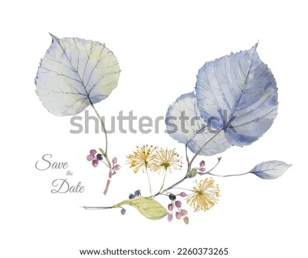 Very beautiful hand-drawn plants and flowers Royalty-Free Stock Photo #2260373265