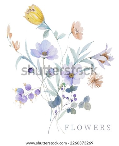 Very beautiful hand-drawn plants and flowers Royalty-Free Stock Photo #2260373269