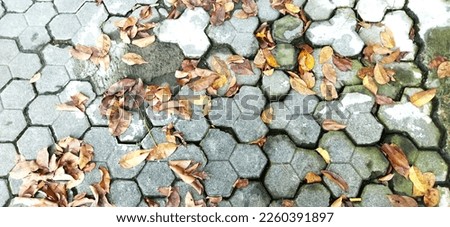 High angle view of dry fallen leaves on the sidewalk, diagonal composition, top view. 