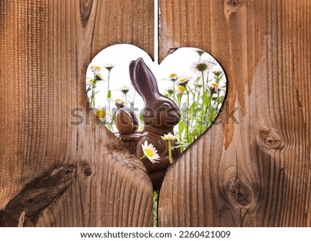 Easter chocolate rabbit with daisies behind wooden planks with a heart