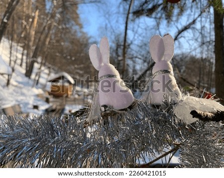 Two rabbit toys in witer landscape