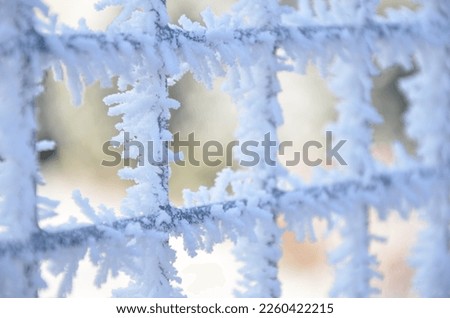 Frozen lattice pattern in winter.