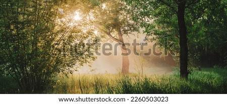 Scenic sunny green landscape. Scenery of morning nature in sunlight. Trees silhouettes on sunrise. Sunbeams and lens flare on foliage with copy space. Bright sun shines through trees leaves on sunset. Royalty-Free Stock Photo #2260503023
