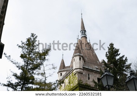 Castle and tree view. Historic building of Vajdahunyad Castle landmark in Budapest, Hungary