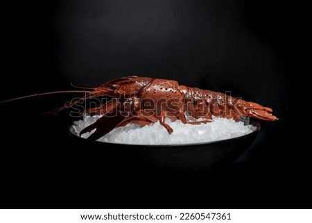 Red lobster on ice on dark background Royalty-Free Stock Photo #2260547361