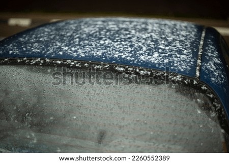 Snow by car. Wet machine surface. Transport details. Large flakes of snow on metal. Royalty-Free Stock Photo #2260552389