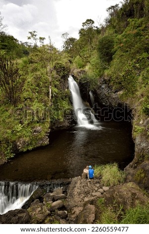 Couple watching an hawaiian waterfall in the rainforest