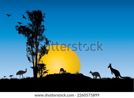 Silhouette of Gum trees with yellow moon at sunset with kangaroos feeding. Vector illustration. Royalty-Free Stock Photo #2260575899