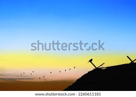 Sunset colorful blue red orange yellow sky and silhouette top of cottage and group birds flying 