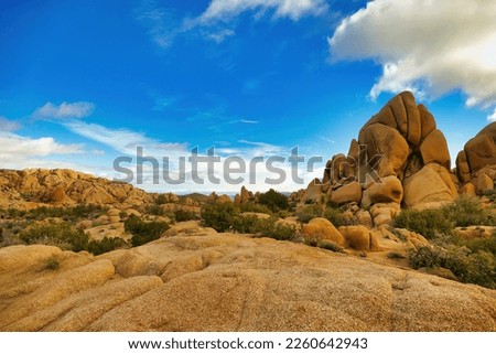 Desert landscape with eroded granite in the vicinity of Jumbo Rock, Joshua Tree National park, Mojave Desert, California, USA
 Royalty-Free Stock Photo #2260642943