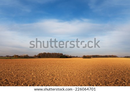 Agricultural field in autumn. Royalty-Free Stock Photo #226064701