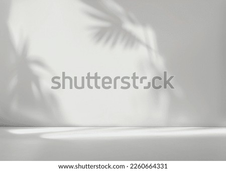 Blurred shadow from palm leaves on the white wall. Minimal abstract background for product presentation. Spring and summer.