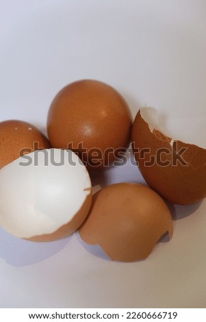 Photo of a chicken egg shell.