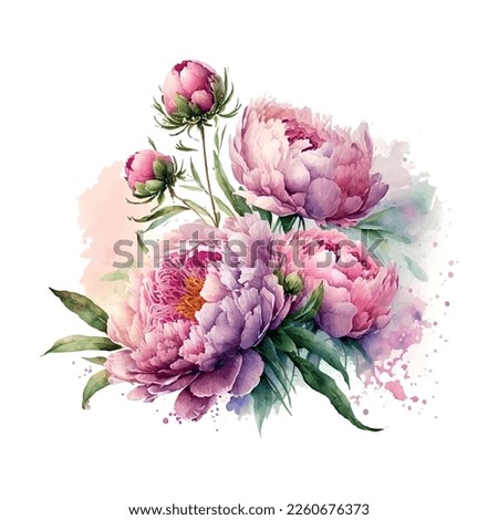 Vector stock flower illustration, Pink peony on a white background. Watercolor style Royalty-Free Stock Photo #2260676373