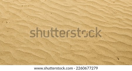 Sand texture. Sandy beach for background. Top view. ripe brown
