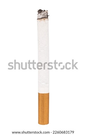 cigarette single isolated on white background.
