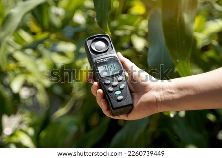 Light meter, Lux Light Meter in hand while measuring light intensity quantity and the brightness of the light suitable for the tree. soft and selective focus.                                Royalty-Free Stock Photo #2260739449