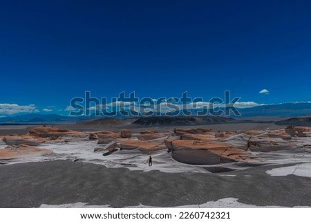 Field of Piedra Pomez, Antofagasta de la Sierra, Catamarca, Argentina Royalty-Free Stock Photo #2260742321