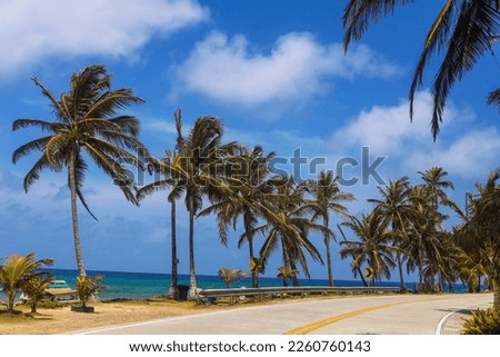Providencia Archipelago in Colombia with ocean and blue palm trees, Colombian Caribbean San Andres Islands, Pacific Ocean, Ocean of seven colors. paradisiac island Royalty-Free Stock Photo #2260760143