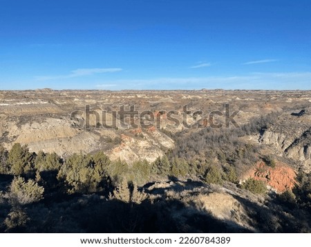 Theodore Roosevelt National Park (Black Hills, North Dakota)