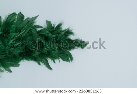 Bunch of green feathers on white background. Top of view Royalty-Free Stock Photo #2260831165
