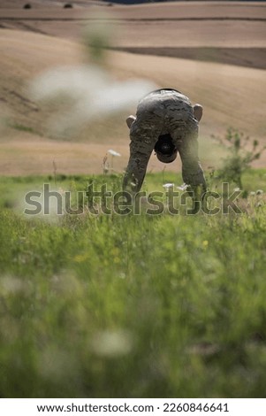 The protruding ass of a nature photographer, he holds the camera between his legs and takes a picture upside down, backwards, rump, ass. Crazy man