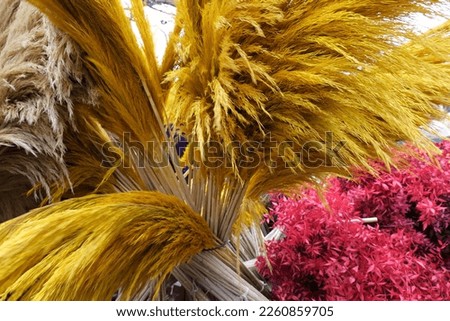 Dried flowers painted in different colors used for decoration.