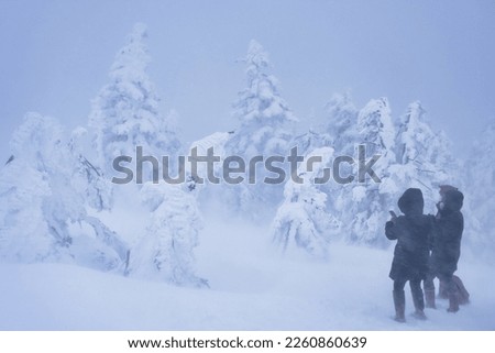 People taking photos of frozen trees or Juhyo in snowstorm in Miyagi, Japan
