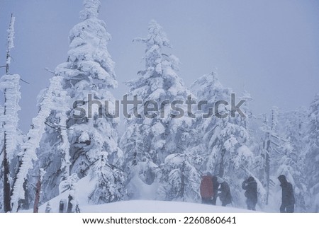 People taking photos of frozen trees or Juhyo in snowstorm in Miyagi, Japan
