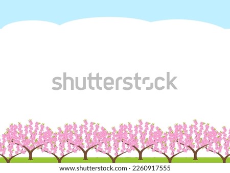 Background of peach orchard with flowers in full bloom