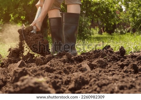 Tillage. Farmer digging in garden spade soil shovel digging spade grass. Gardener digging soil preparation. Man shoveling dirt shovel in ground. Gardening. Farming garden work in rubber boots farm Royalty-Free Stock Photo #2260982309