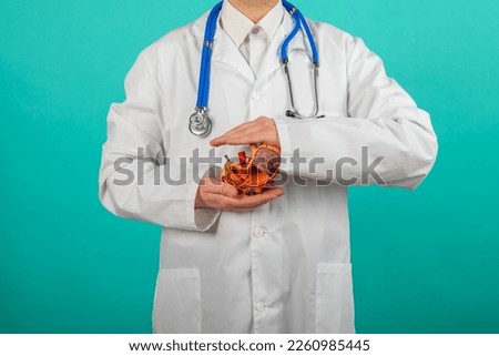Male doctor with a stethoscope is holding mock stomach in the hands. Help and care concept Royalty-Free Stock Photo #2260985445