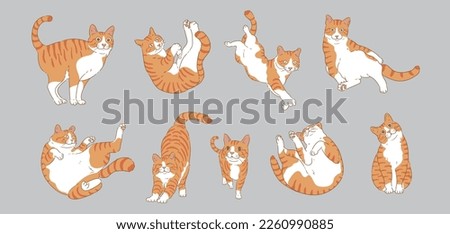 Cute Cartoon orange cat set