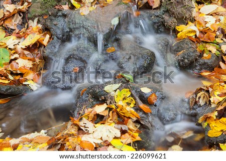 mountain stream in autumn time 
