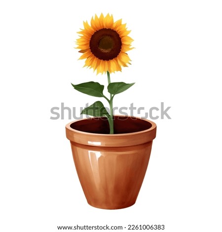 Sunflower in a Plant Pot Isolated Detailed Hand Drawn Painting Illustration